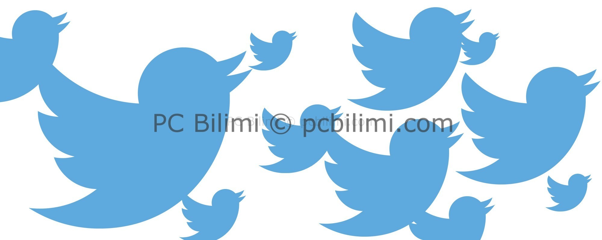 twitter-gif.jpg