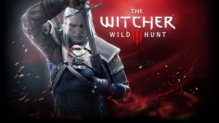 The Witcher 3 Wild Hunt (2)