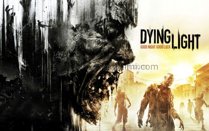 dying light (8)
