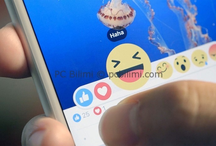 facebook-like